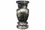 Limestone Vase With Orthoceras Fossils #122441-2
